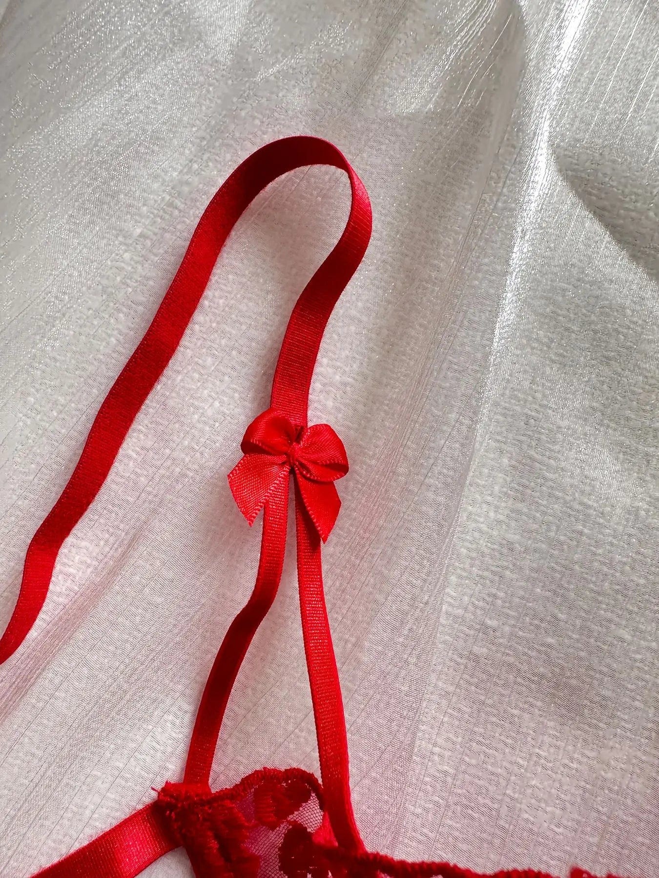 A set of lingerie with tie-up thongs