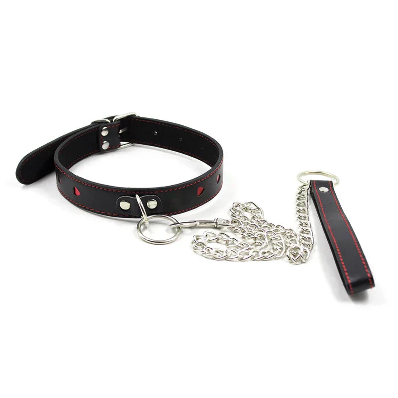 Collar with a lead, adjustable range 35-48 cm