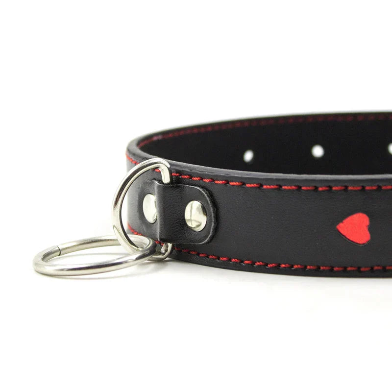 Collar with a lead, adjustable range 35-48 cm