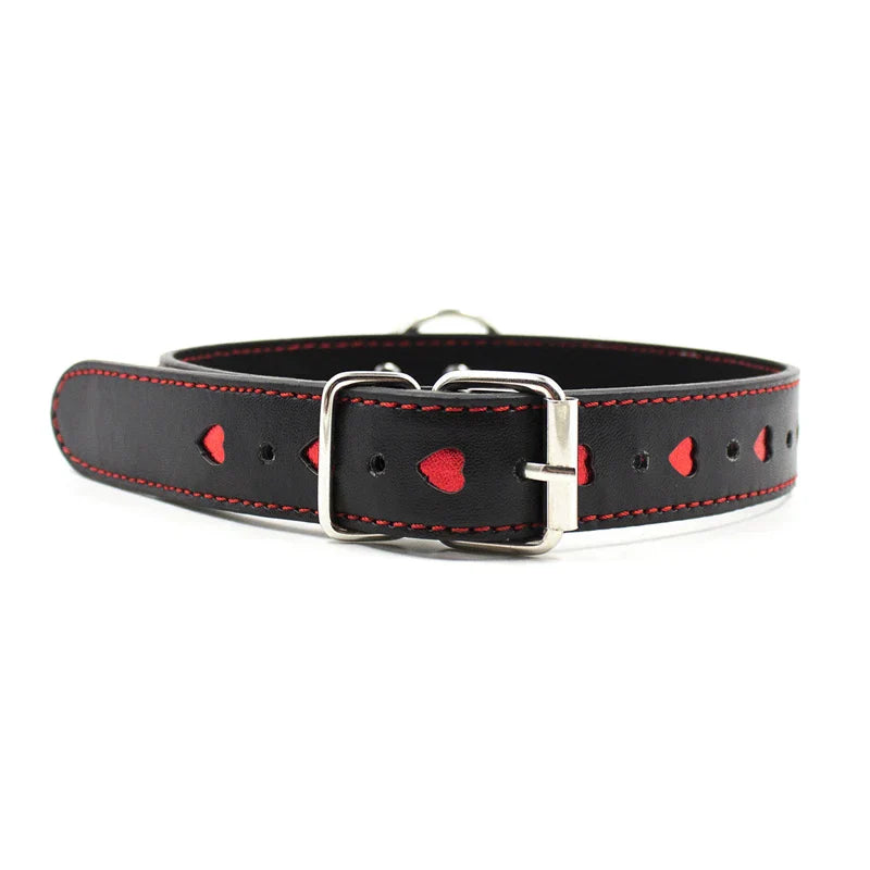 Collar with a lead, adjustable range 35-48 cm