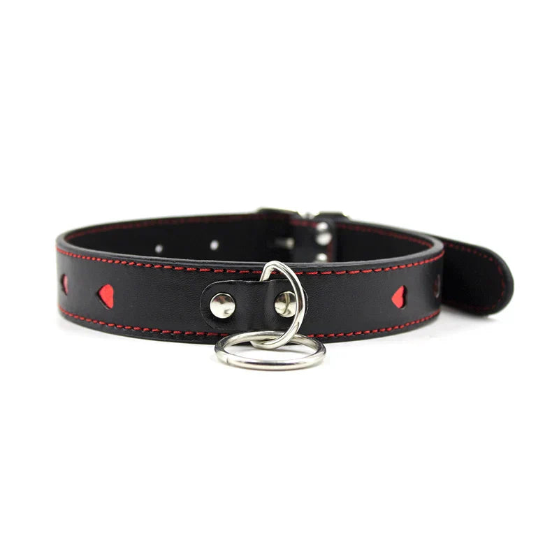Collar with a lead, adjustable range 35-48 cm