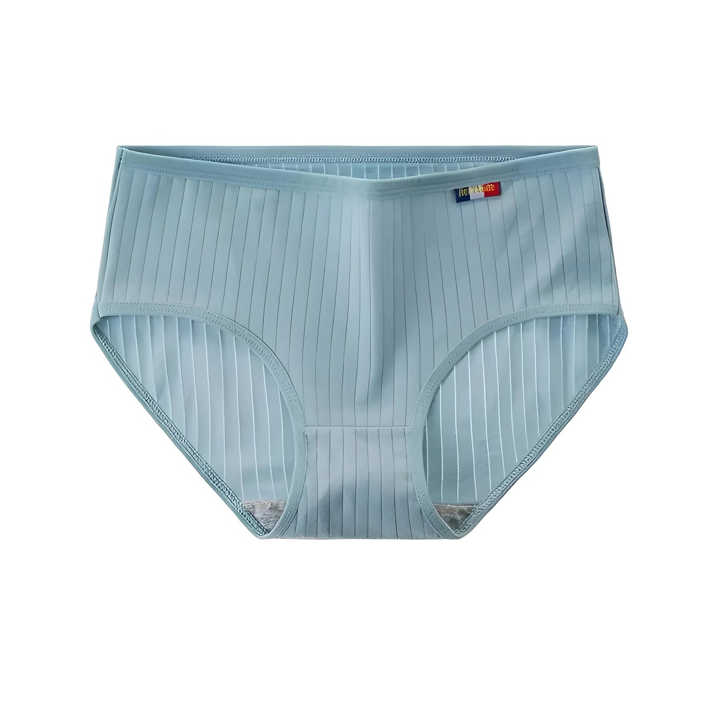Blue Classic Women's Briefs