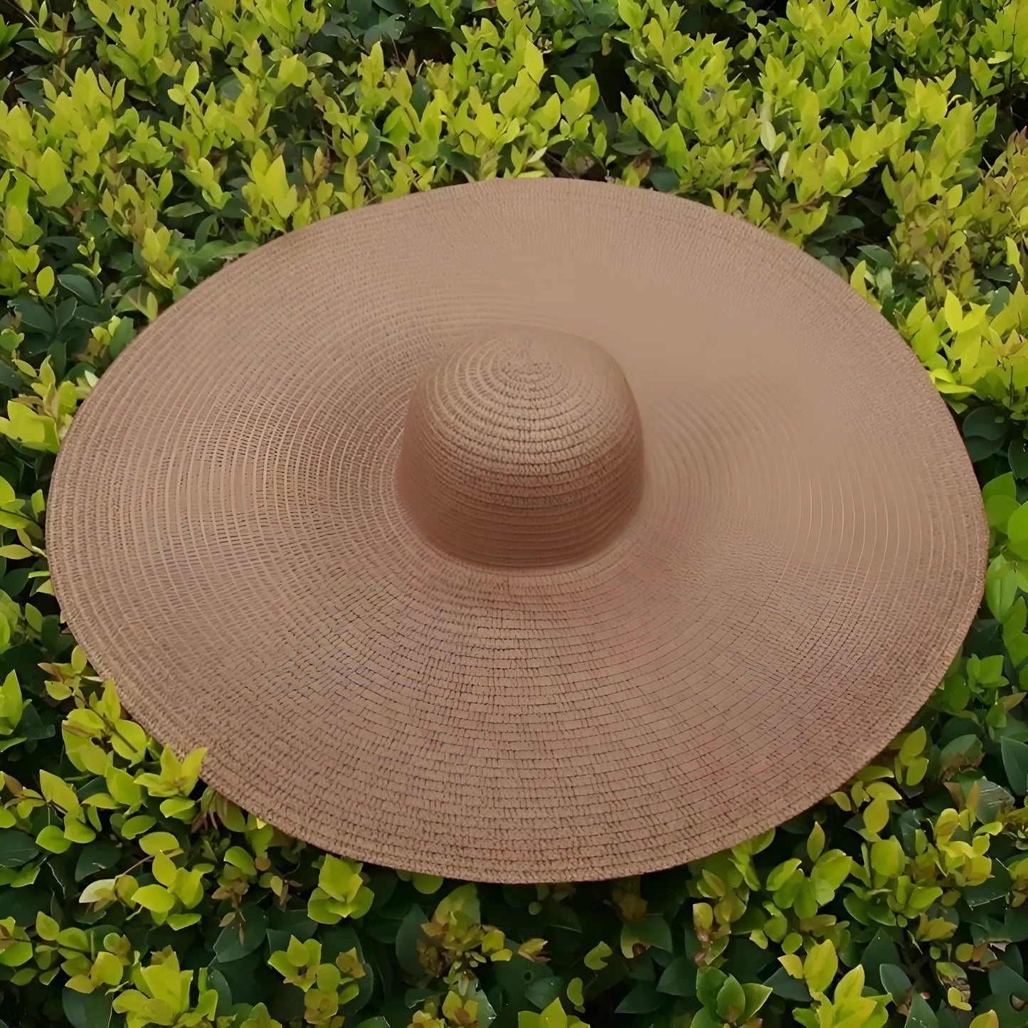 Brown Wide Brim Beach Hat