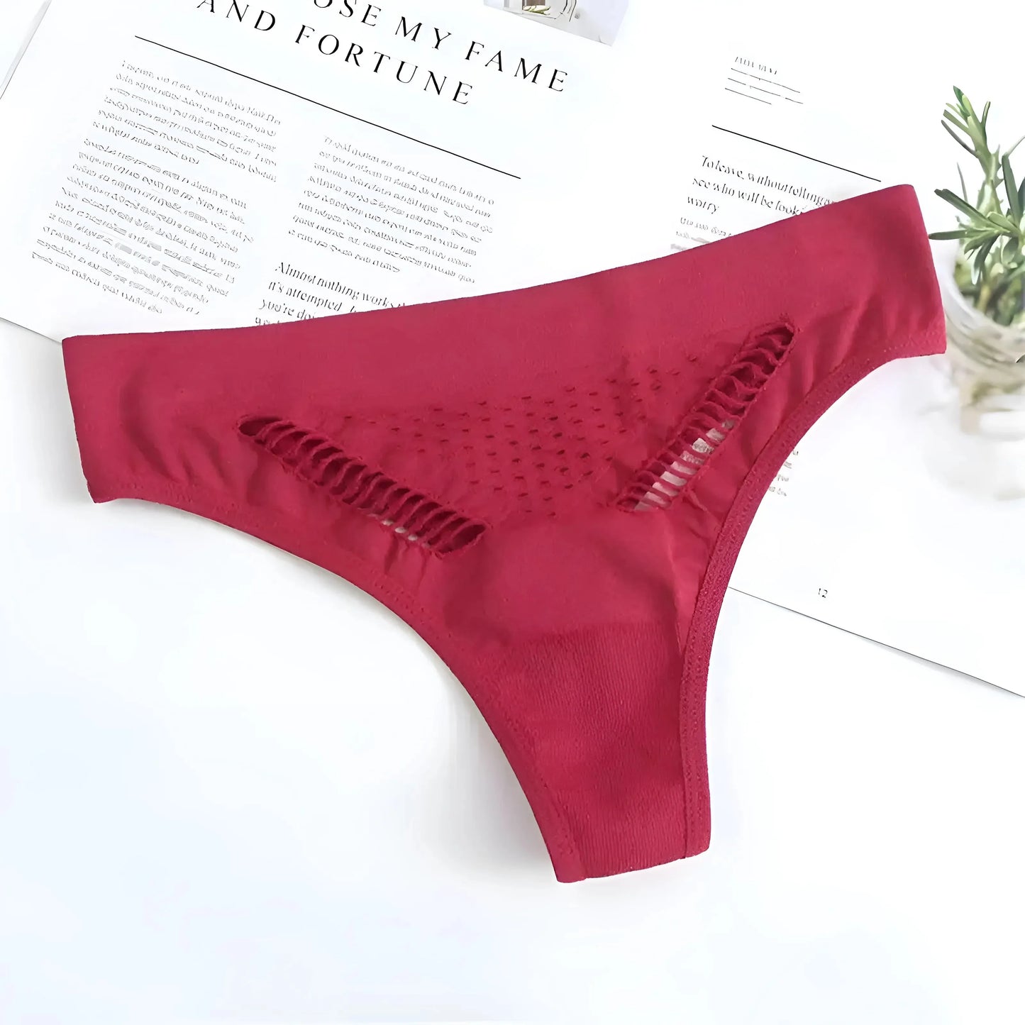 Red Lace Briefs with Mesh Front