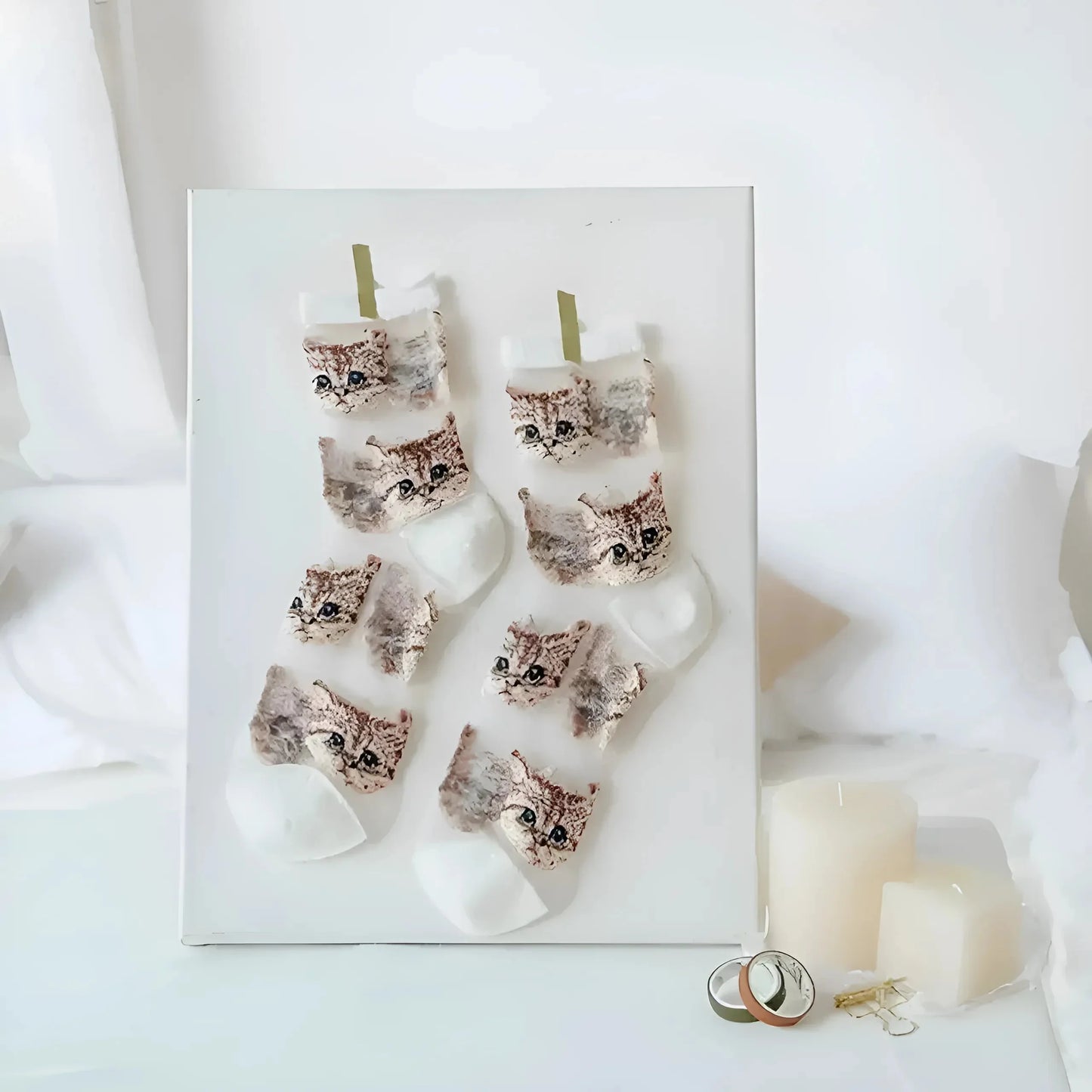 White Long Transparent Cat Socks