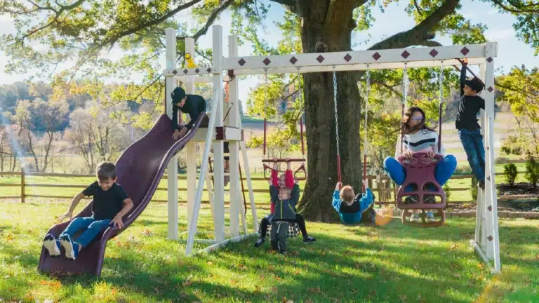 Honey Bear Hangout Swing Set