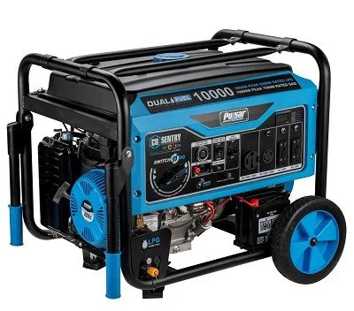 1-241-1-1 Pulsar 10,000 Watt Dual Fuels Portables Generator PG10000BRCO - Image 1