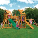 Pioneer Peak Swing Set - Image 10