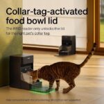 PETLIBRO RFID Automatic Cat Feeder, Collar Sensor for Personalized Meals, Cats Recognition, Diet Tracking and Anti-Stealing for Multi-Pets Homes and Different Diets, Wi-Fi Programmable Food Dispenser - Image 3