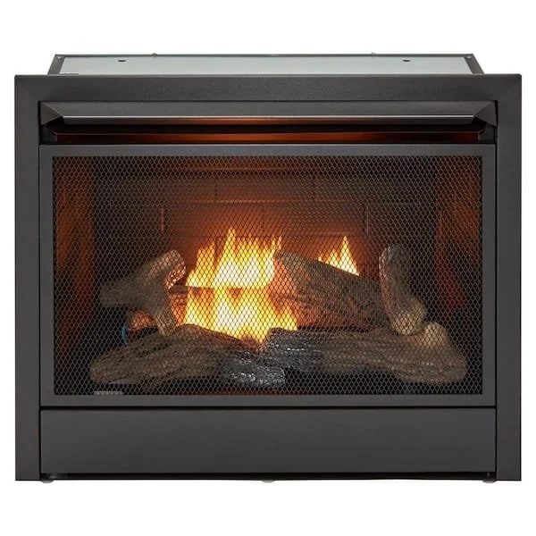 a1-254-1-1 Duluth Forge Dual Fuel Ventless Gas Fireplaces Inserts - Image 1