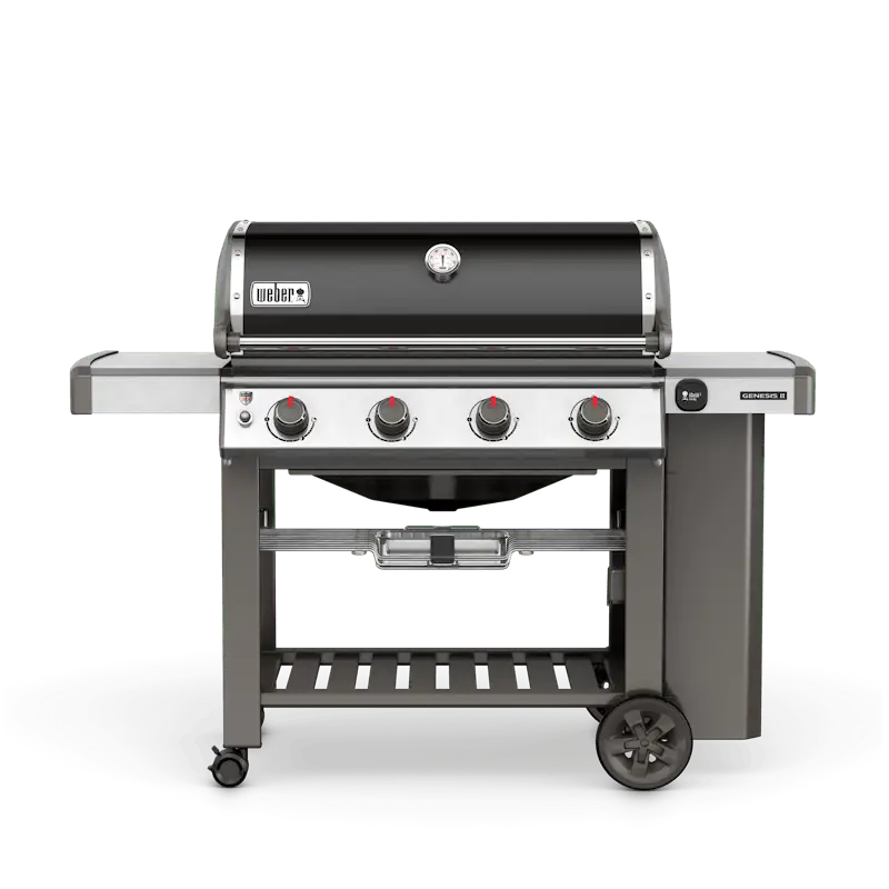 k1-2-1-1 Weber Genesis II E-410 NGs - Image 1