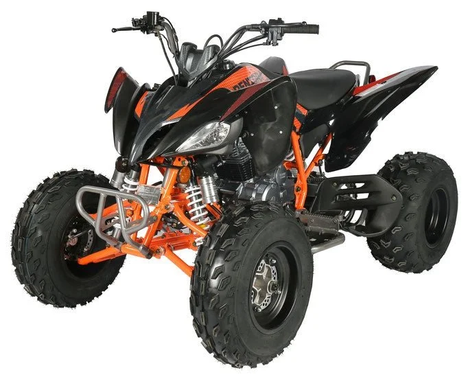 reg1-2-1 Regency PRO Ultra Sports 250cc ATV - Image 1