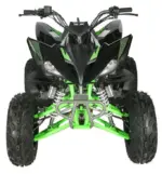 Regency PRO Ultra Sports 250cc ATV - Image 3