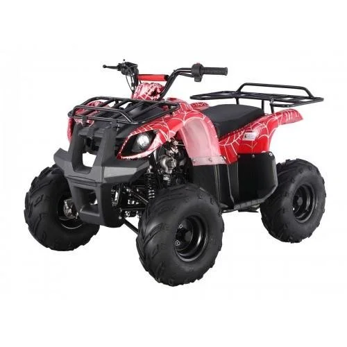 tao1-2-1 Tao Motors D125 Kids ATVs - Image 1