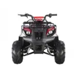 Tao Motors D125 Kids ATVs - Image 3