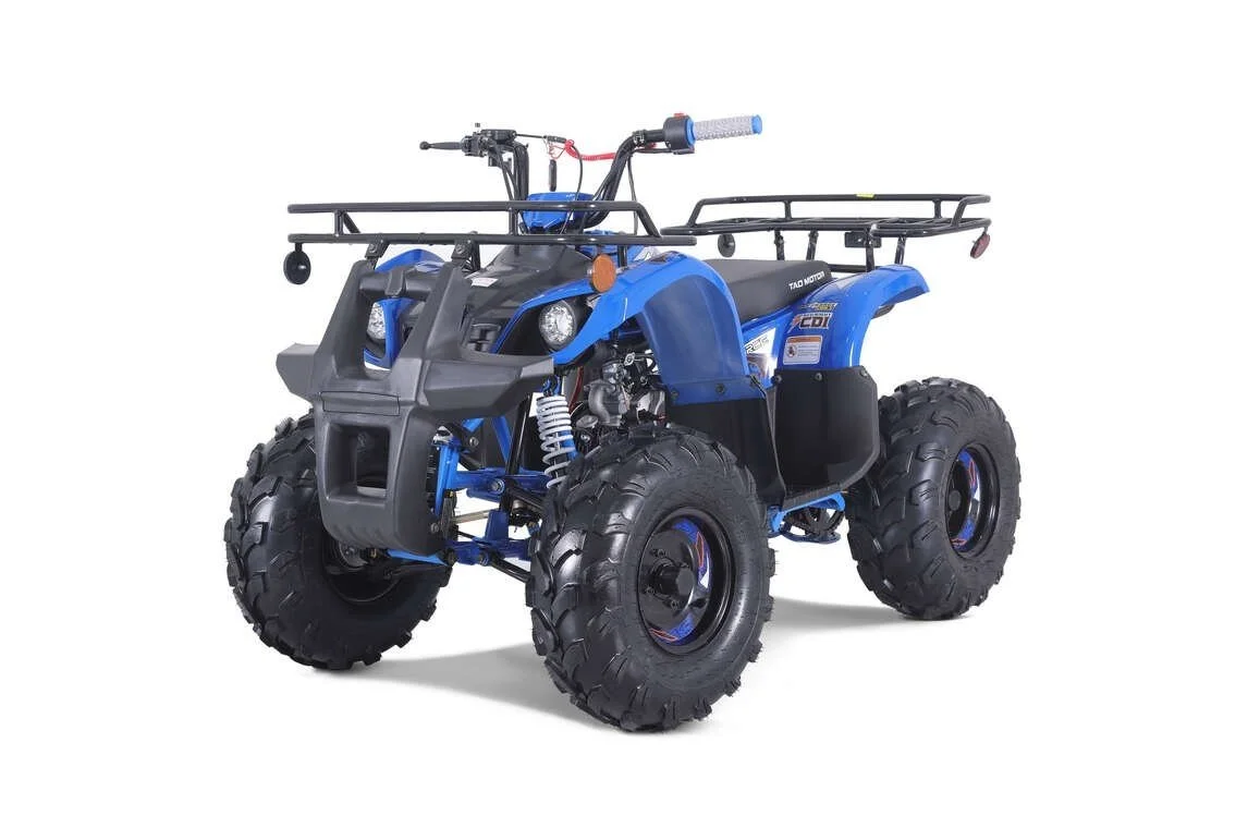 ttt1-2-1 TaoTao T-Force T125 4-Wheeler All-Terraiin Vehicle ATV - Image 1